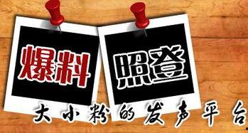 新闻爆料平台北京,新闻爆料平台最新动态曝光！”  第1张